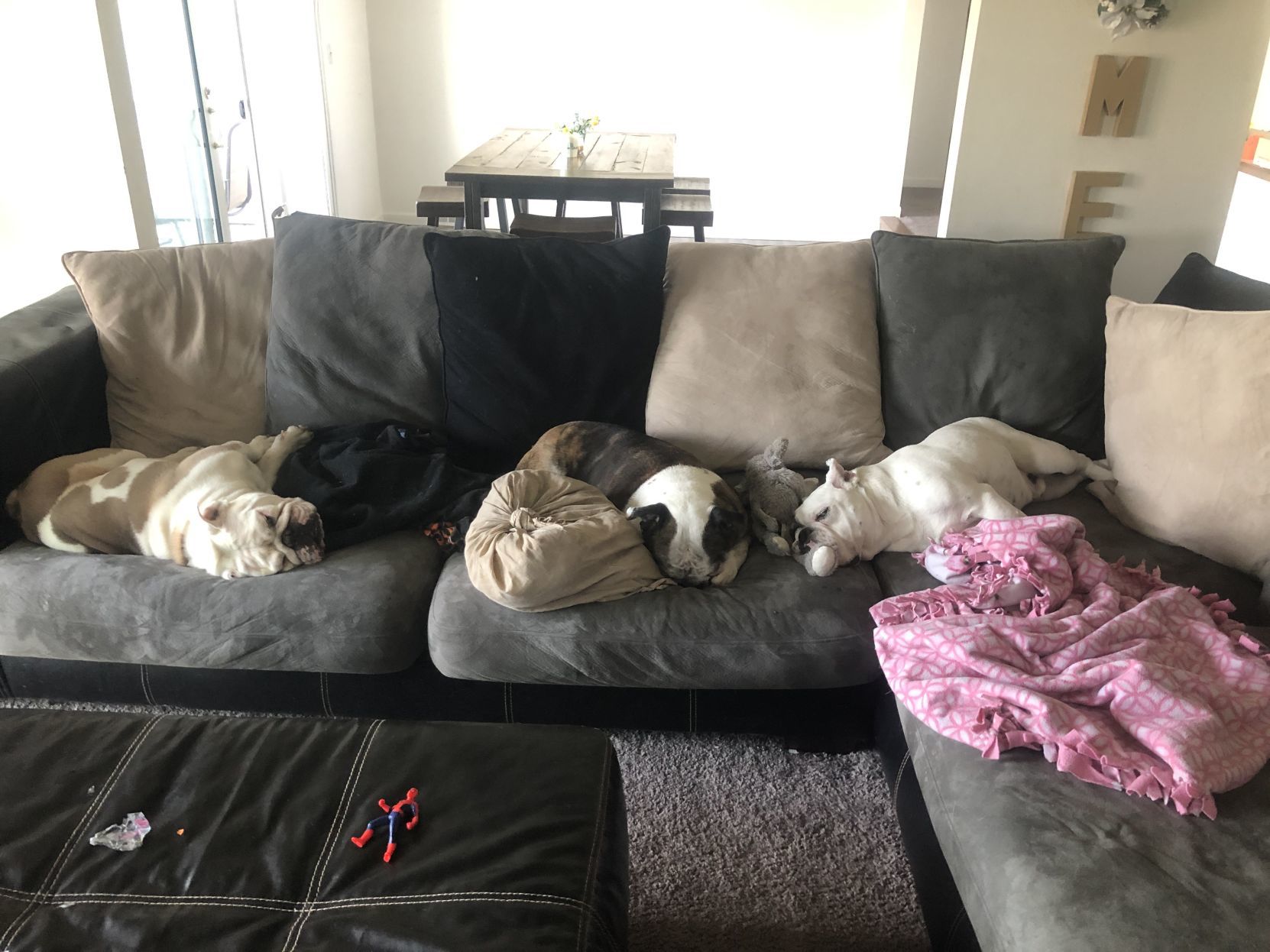 Theodore, Lola and Ox